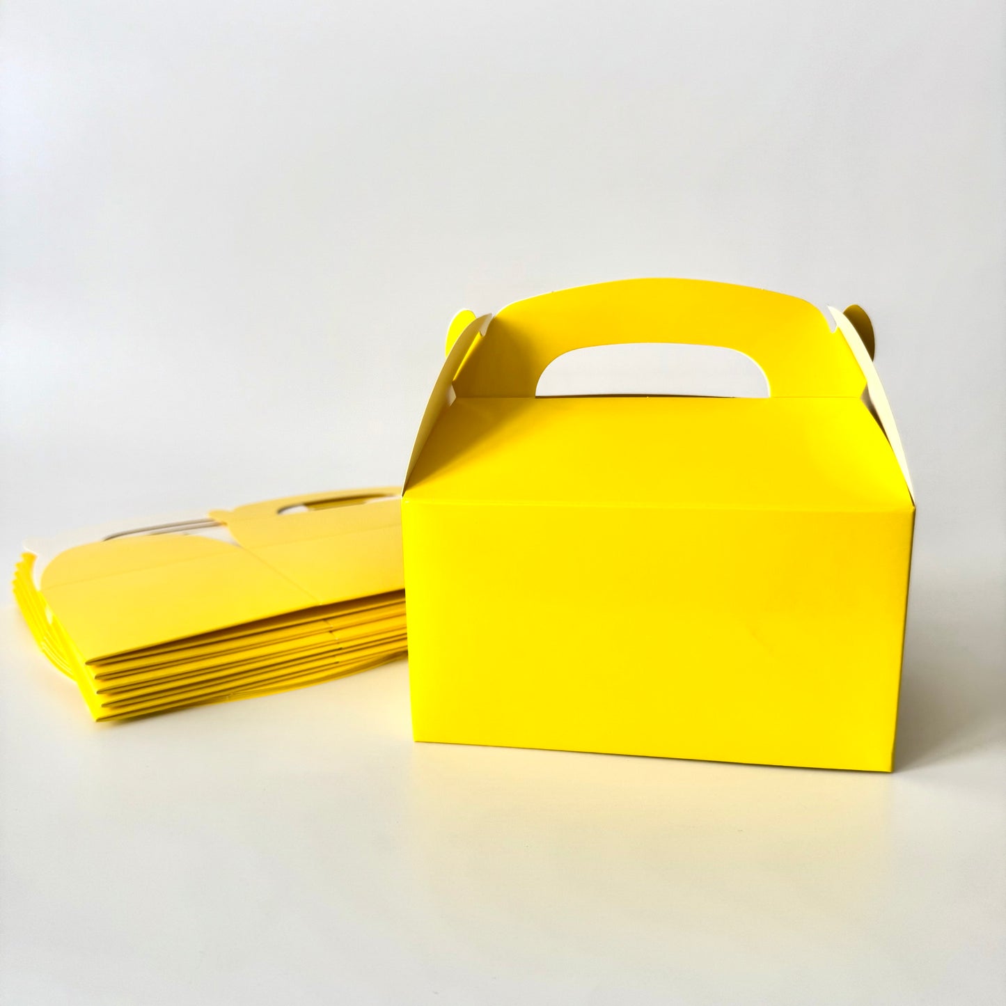 Colorful Party Lunch Box (Pack of 12 - Single Color)